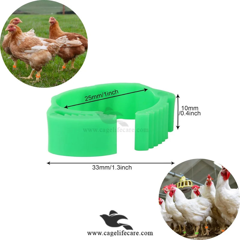 Adjustable Poultry Leg Bands – Clip-On Bird ID Rings
