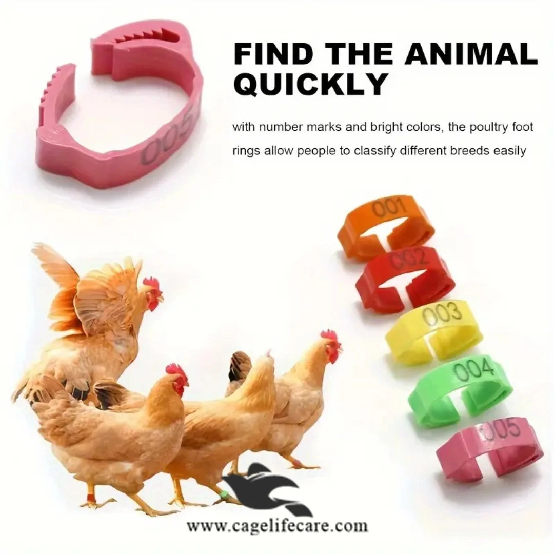 Adjustable Poultry Leg Bands – Clip-On Bird ID Rings Find The Animal Quickly