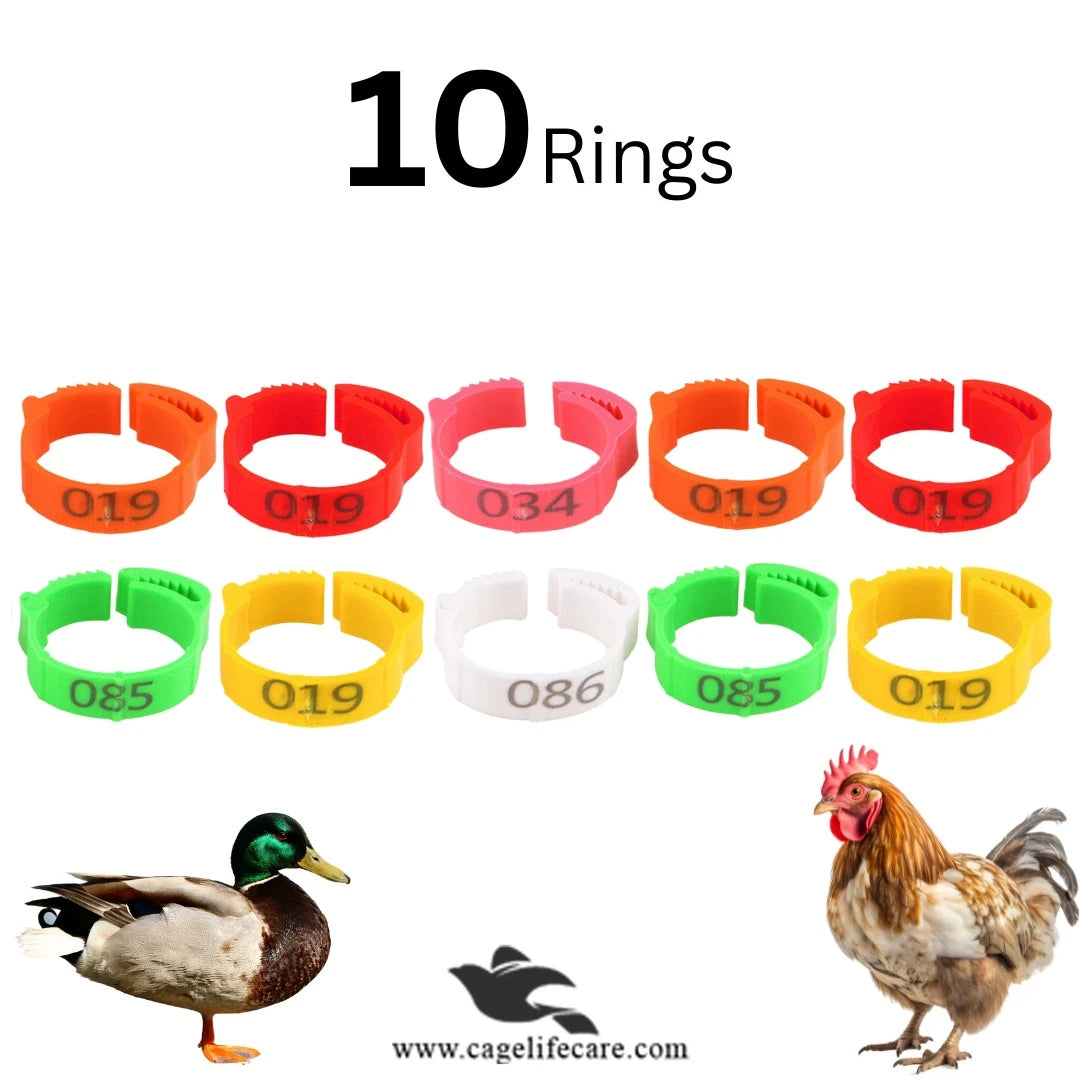 Adjustable Poultry Leg Bands – Clip-On Bird ID Rings Pack of 10 Rings