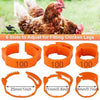 Adjustable Poultry Leg Bands – Clip-On Bird ID Rings