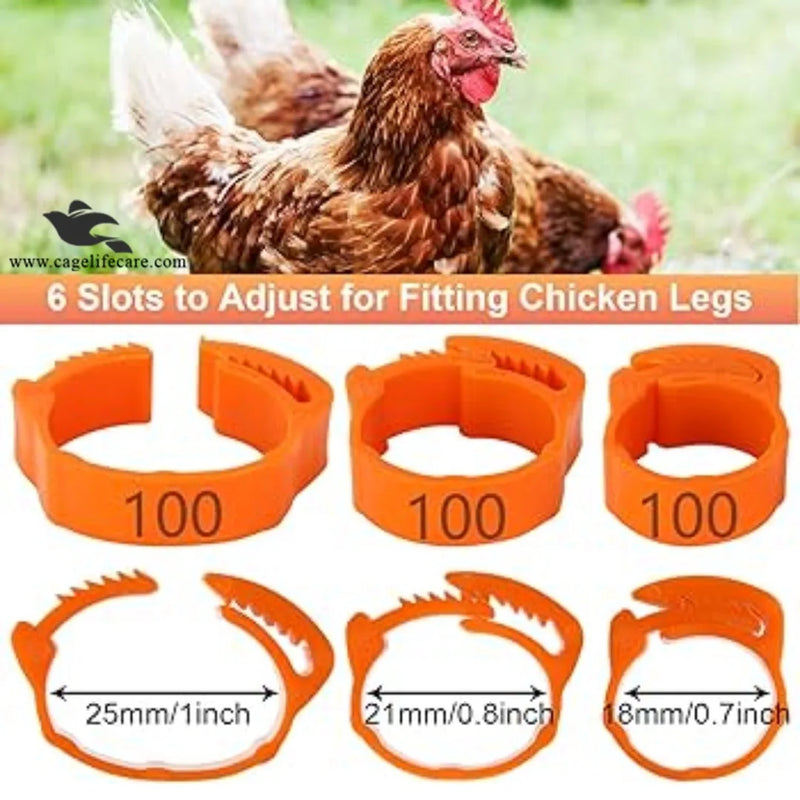 Adjustable Poultry Leg Bands – Clip-On Bird ID Rings