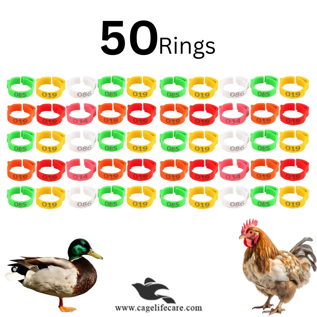 Adjustable Poultry Leg Bands – Clip-On Bird ID Rings Pack of 50 Rings
