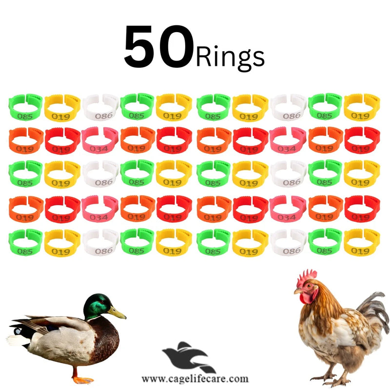 Adjustable Poultry Leg Bands – Clip-On Bird ID Rings