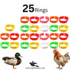Adjustable Poultry Leg Bands – Clip-On Bird ID Rings