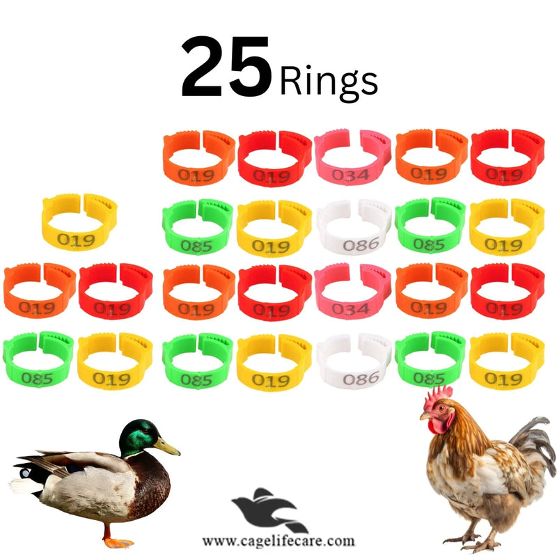 Adjustable Poultry Leg Bands – Clip-On Bird ID Rings