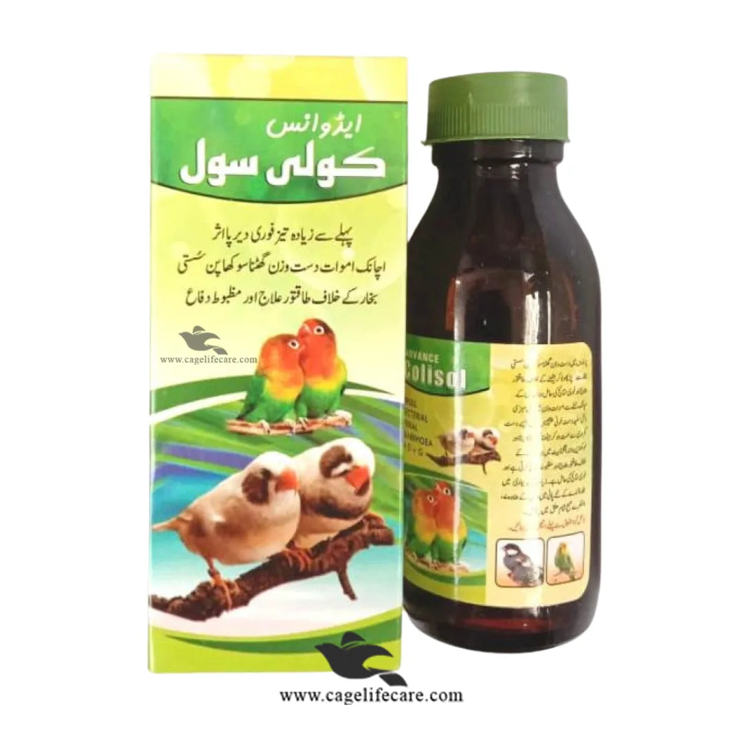 Advance Colisol – Antibacterial & Antiviral Medicine for Birds