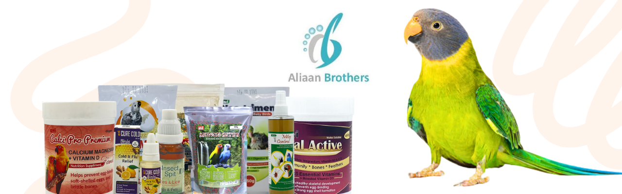 Aliaan Brothers