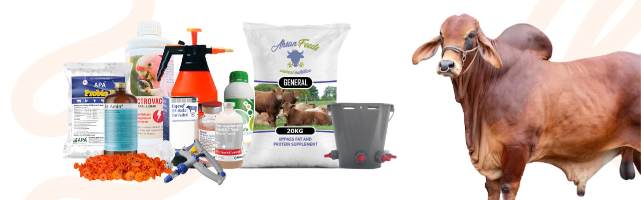 All Livestock Products