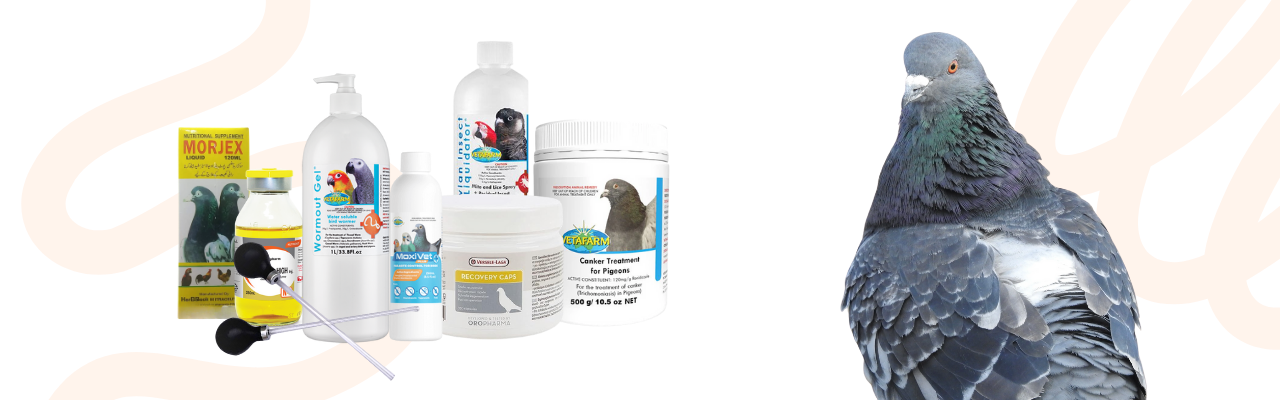 All Pigeons Products