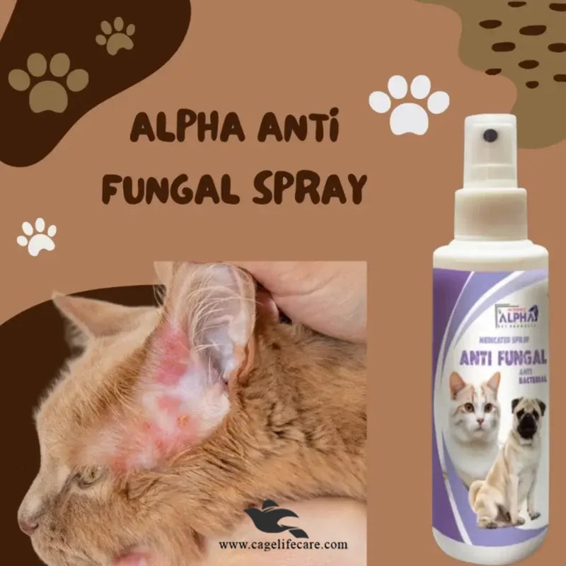 Alpha (MEGA PET) Antifungal Spray – 70ml