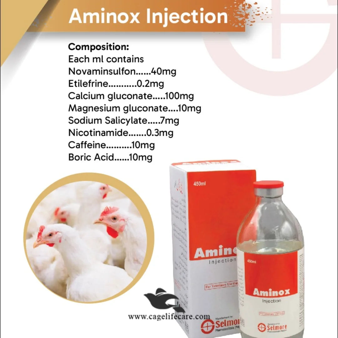 Veterinary energy and recovery solution – Aminox