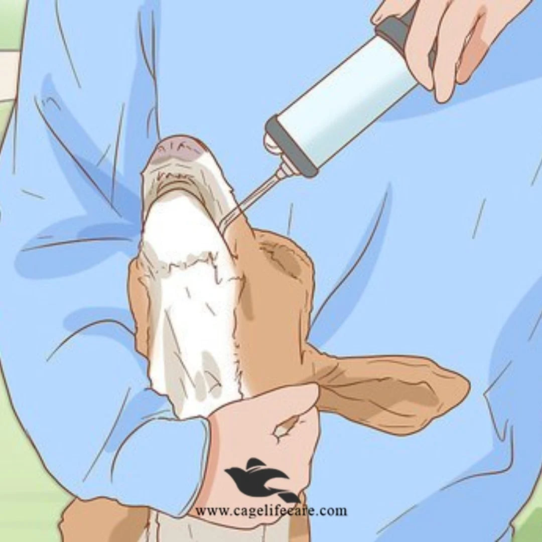 Animal Drencher – Manual Drenching Gun for LiveStock Goats Sheeps Drench Gun 250ml 400ml