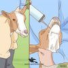 Animal Drencher – Manual Drenching Gun for LiveStock