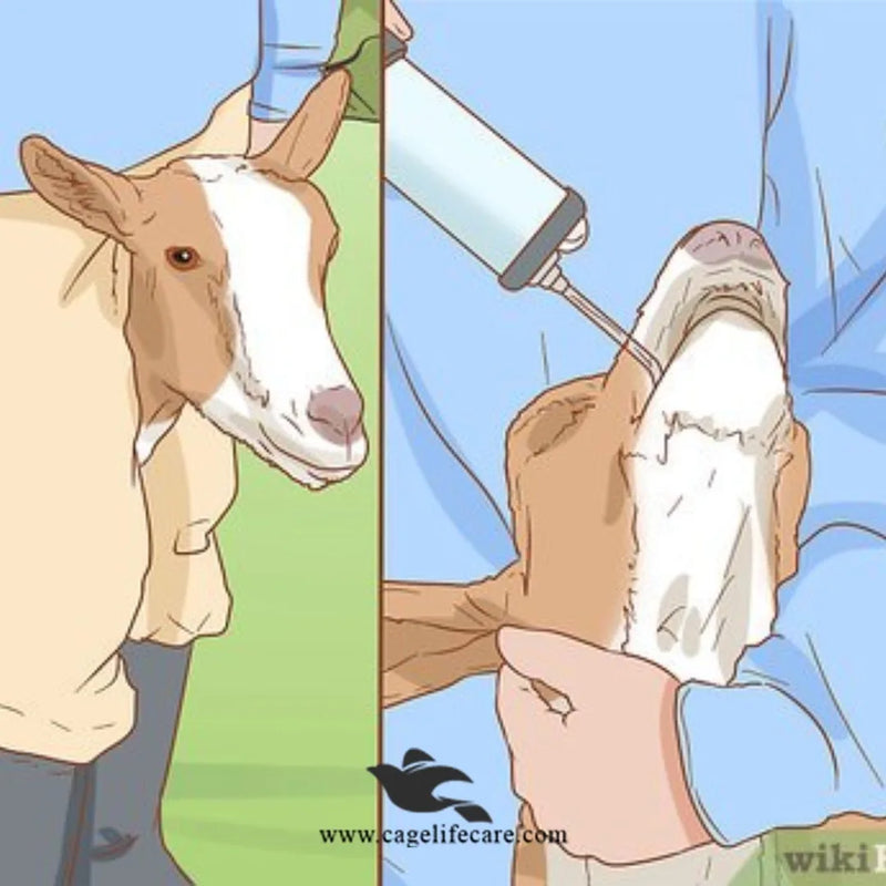 Animal Drencher – Manual Drenching Gun for LiveStock