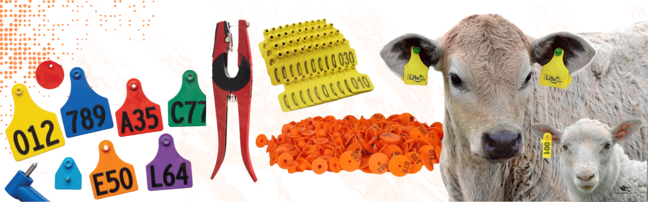 Livestock Tags & Identification
