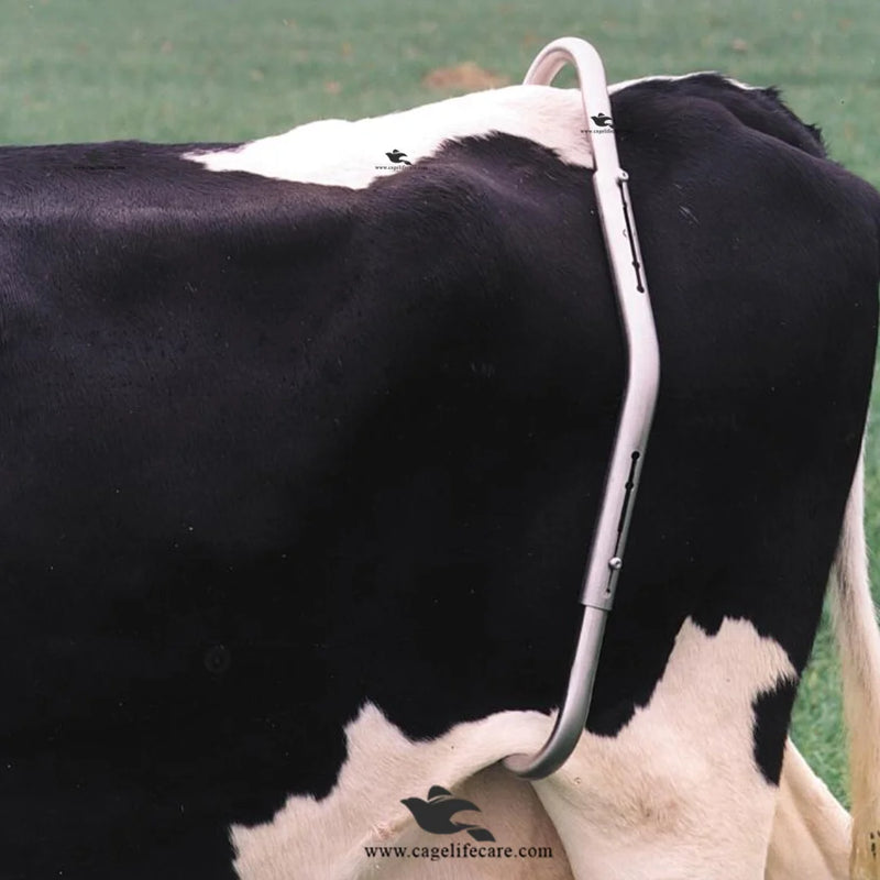 Anti Kick Bar – Heavy-Duty Cattle Restraint Bar for Safe Milking & Veterinary Use