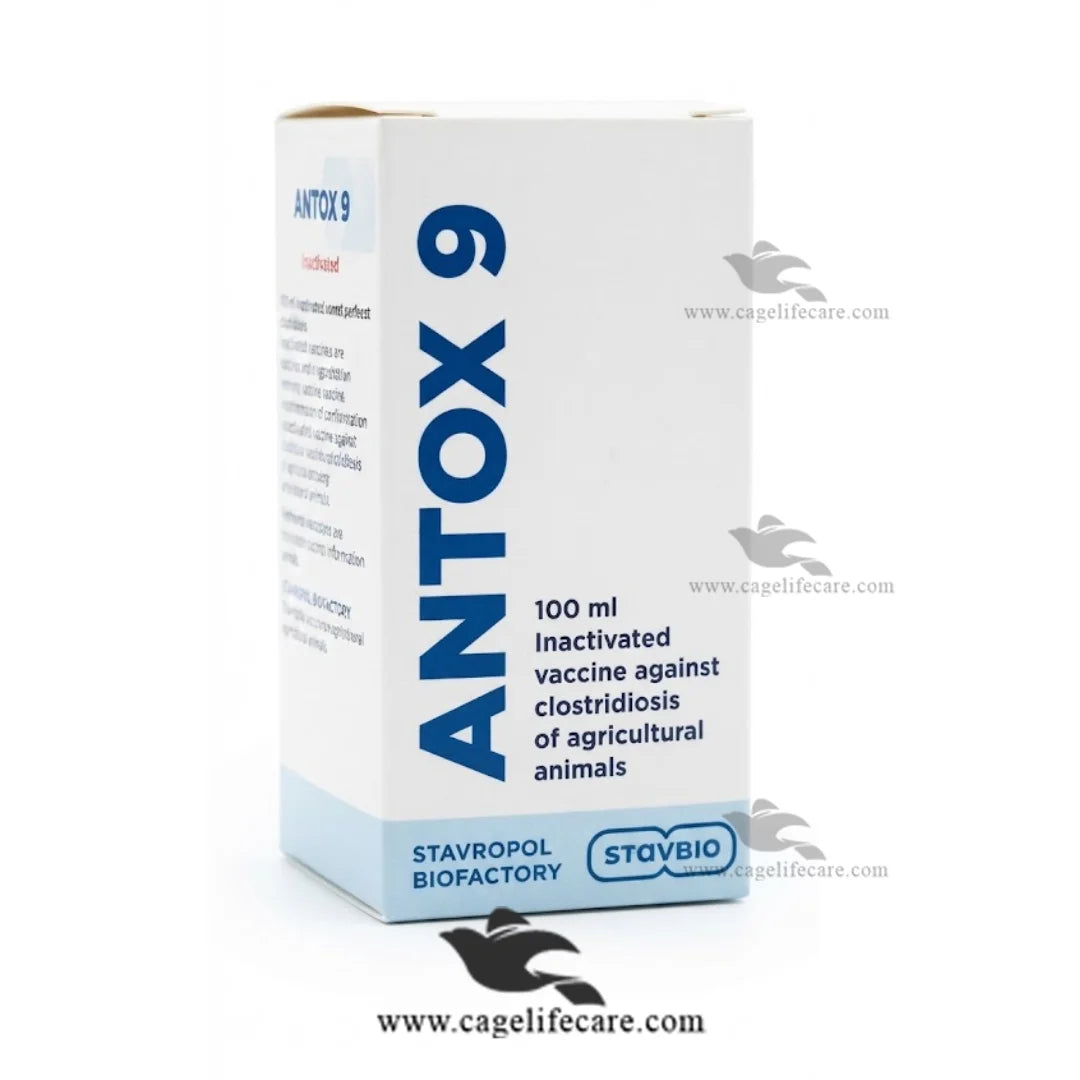 Antox 9 Multiclostridial Vaccine for Sheep Goats Cattle and Buffaloes