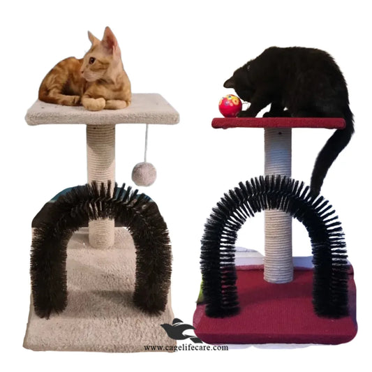 Arch + Board 2-in-1 cat scratcher 46cm with top sit