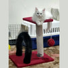 Arch + Board 2-in-1 Cat Scratcher – 46cm with Top Sit, Massager Arch & Play Ball