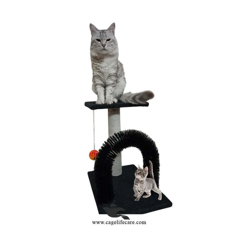 Arch + Board 2-in-1 Cat Scratcher – 46cm with Top Sit, Massager Arch & Play Ball