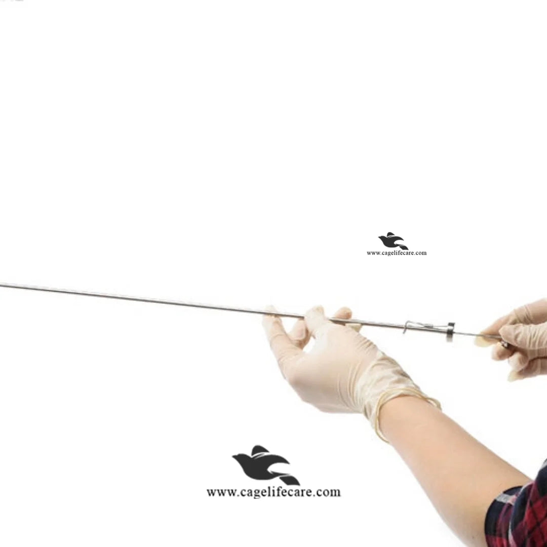 Artificial insemination gun for cattle