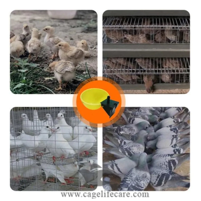 Automatic Hanging Poultry Drinking Cup – Bird Waterer