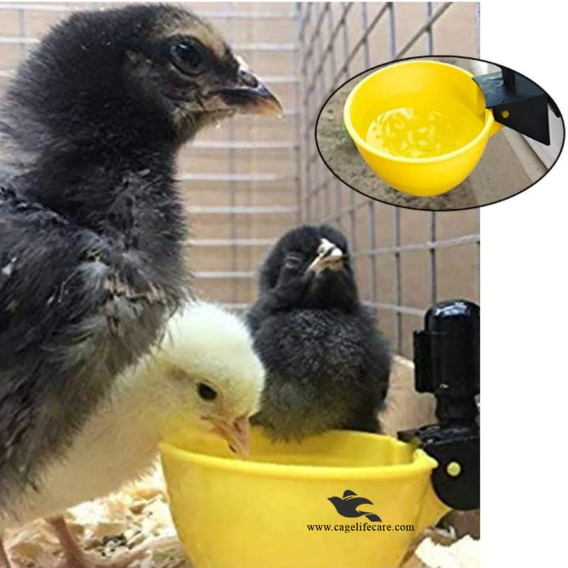 Automatic Hanging Poultry Drinking Cup – Bird Waterer