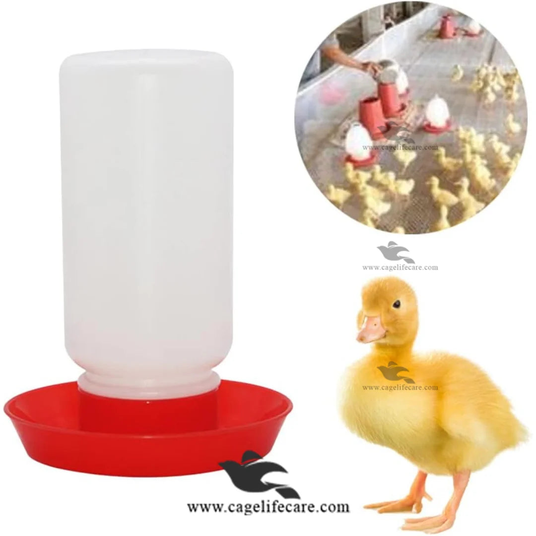 Chicken Drinker Container