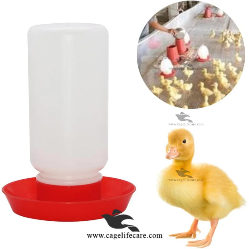 Automatic Poultry Chicken Waterer Drinker Container For Chicks and Hens