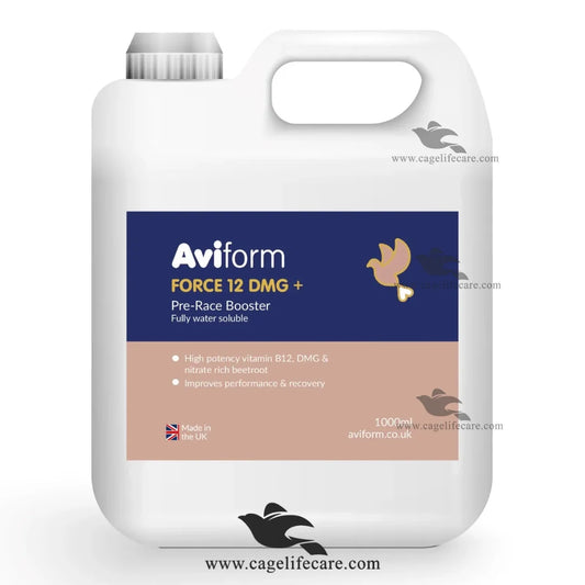 Aviform Force 12 + DMG Pre-Race Booster for Racing Pigeons