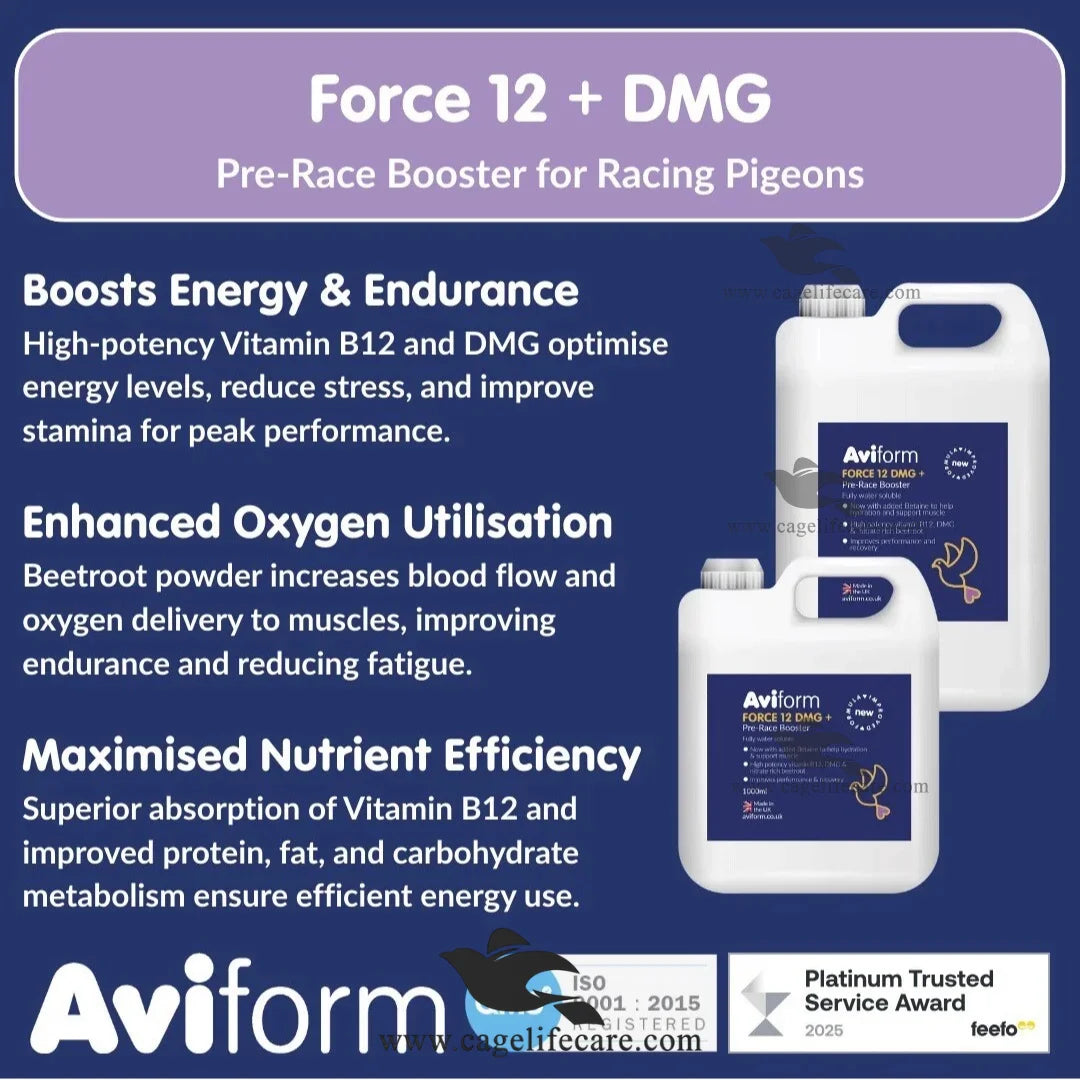 Aviform Force 12 liquid Vitamin B12 supplement for racing pigeon performance