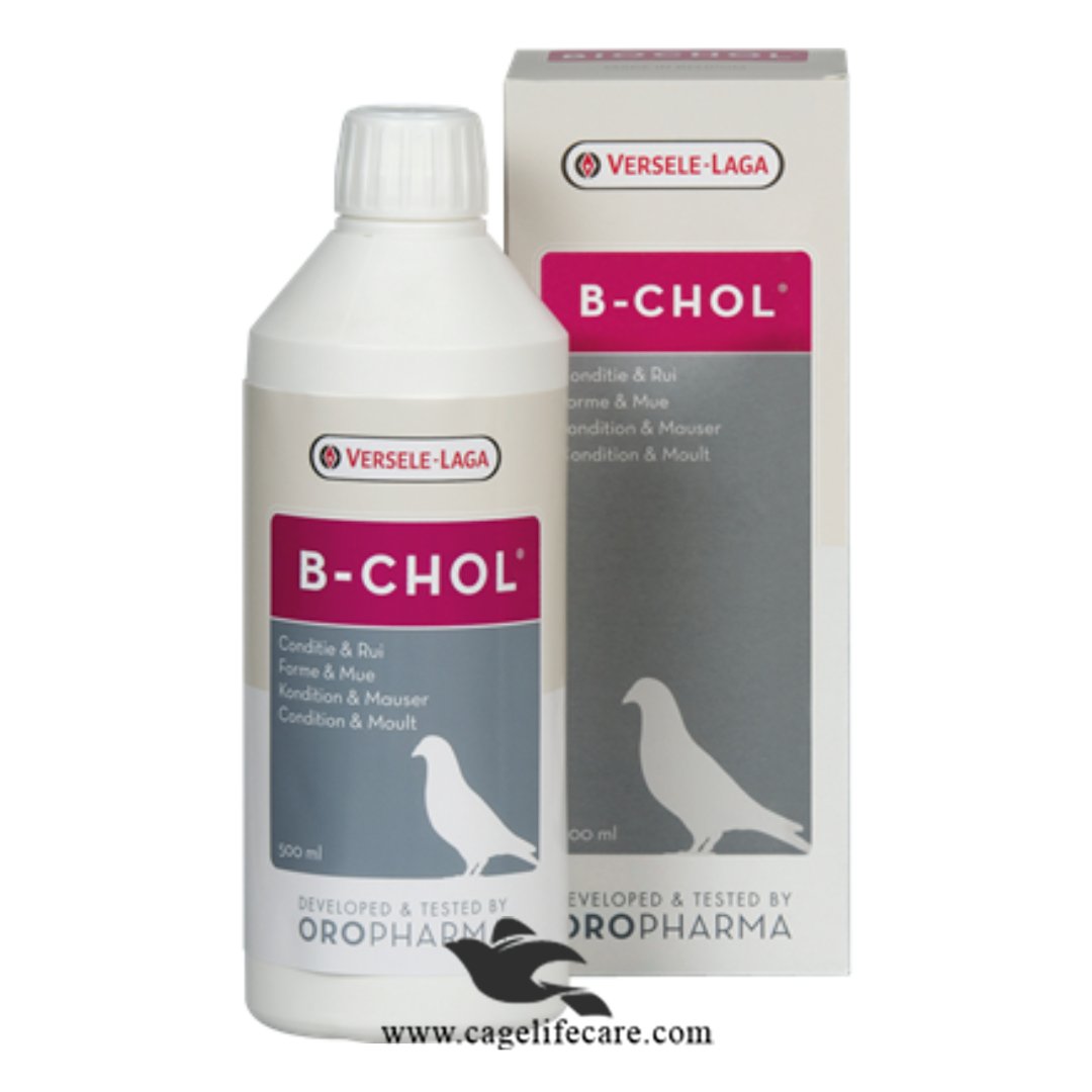 B-Chol Liver Tonic for Birds 500ml for moulting and liver support Versele-laga