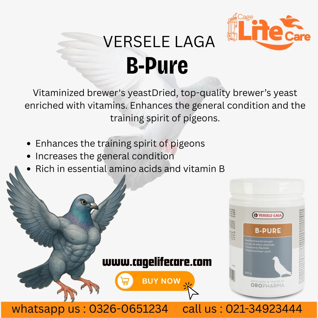 B Pure - Premium Vitaminized Brewer's Yeast Supplement Details