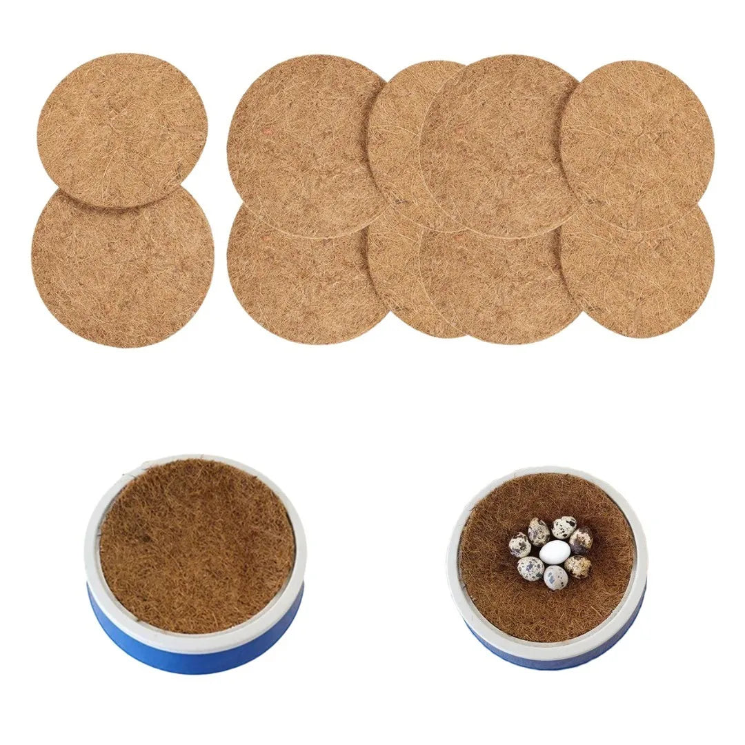 Bird Nest Mat – High Quality Coconut Fiber Mat eggs