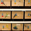 Bird Show Cage – Designed to Showcase Birds ( Show Box )