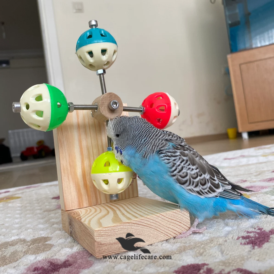 Bird perched on a wooden perch with colorful spherical platforms, brand 'CageLifeCare' visible.