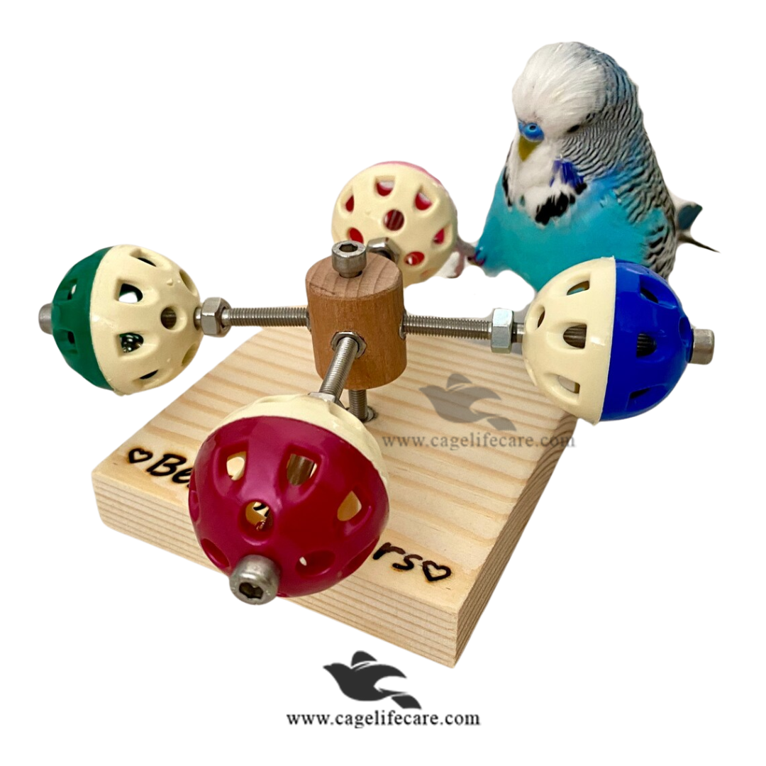Bird toy with colorful wheels and a parakeet on a white background