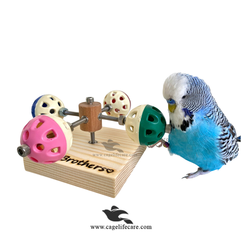 Bird Spinning Toy with Rotating Balls and Colorful Bells