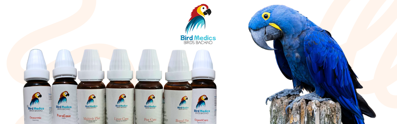 Bird Medics