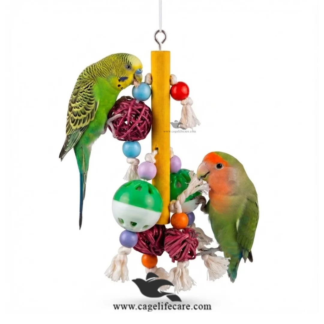 Rattle Bells Swing Bird Toy for Birds and Parrots