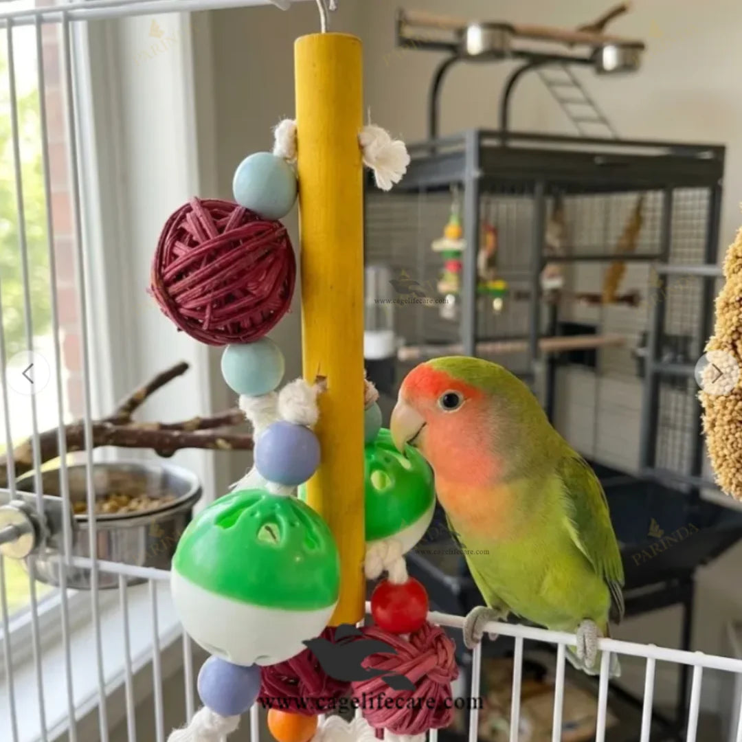 Colorful Wooden Hanging Bird Cage Toy