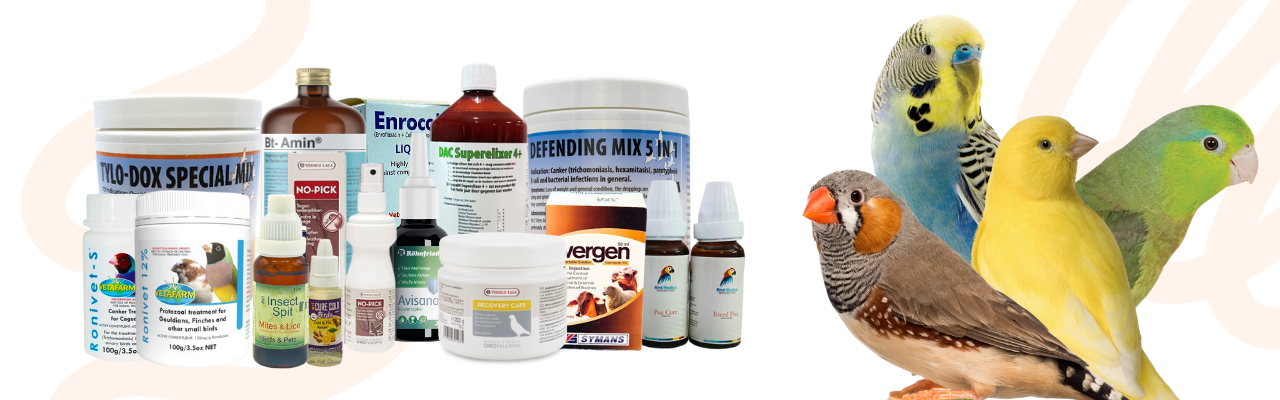 Birds Medicines