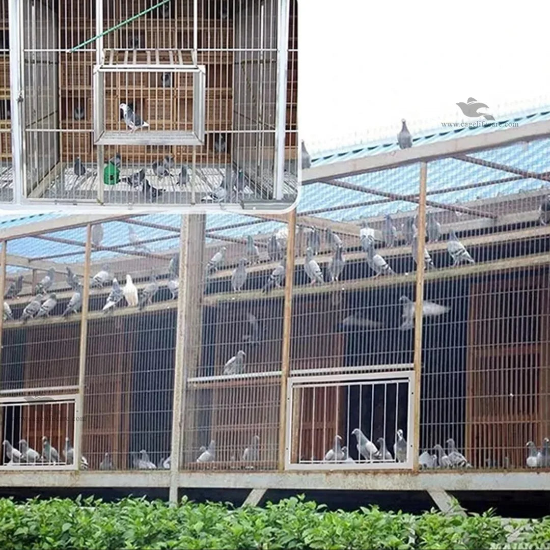 Bob Wire - Trap Door Rods for Pigeons & Ground Birds