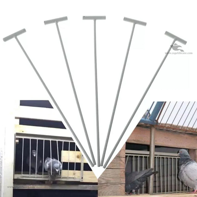 Bob Wire - Trap Door Rods for Pigeons & Ground Birds – Cage Life Care