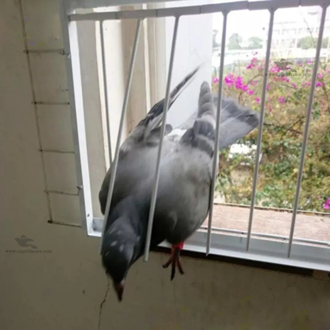 Bob Wire - Trap Door Rods for Pigeons & Ground Birds