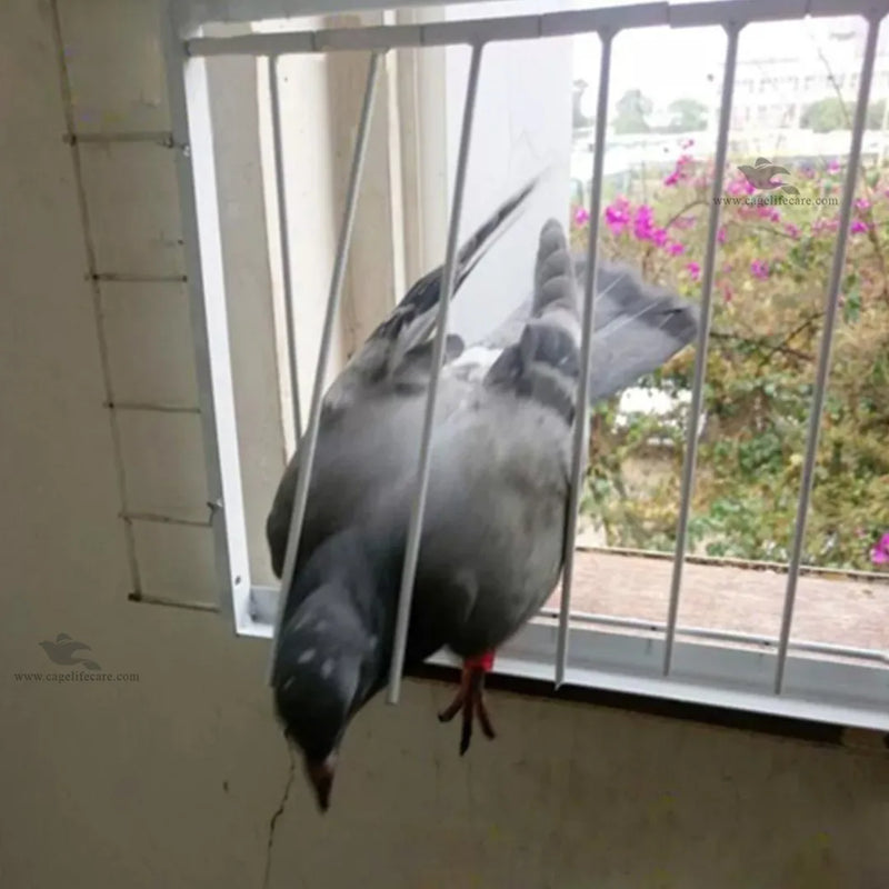 Bob Wire - Trap Door Rods for Pigeons & Ground Birds