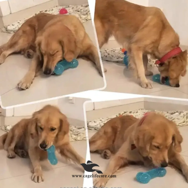 Bone Shape LED Chew Toy for Dogs – Interactive Squeak TPR Rubber Toy for Training & Dental Care