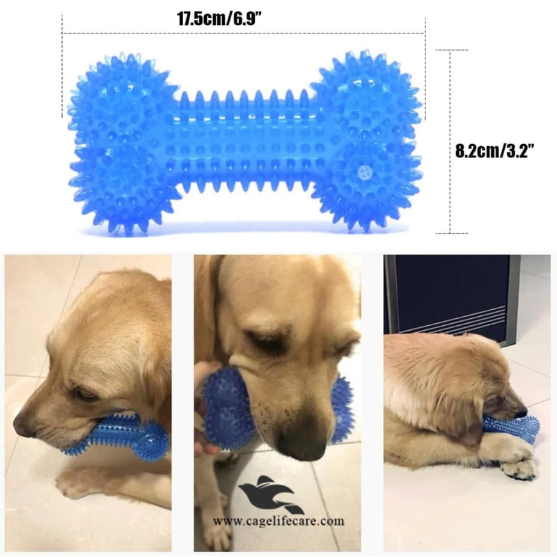 Bone Shape LED Chew Toy for Dogs – Interactive Squeak TPR Rubber Toy for Training & Dental Care