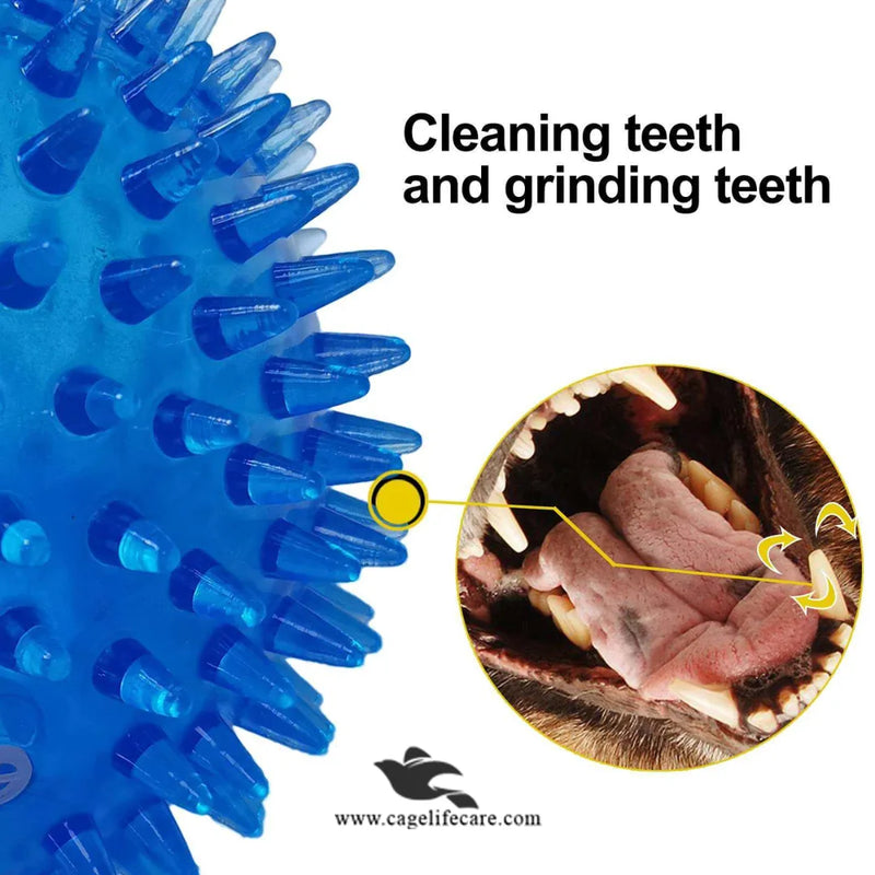 Bone Shape LED Chew Toy for Dogs – Interactive Squeak TPR Rubber Toy for Training & Dental Care
