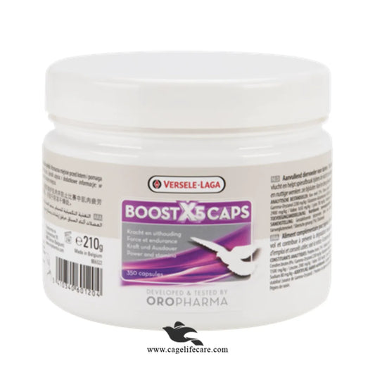Boost X5 Caps - Enhances Stamina & Muscle Breakdown